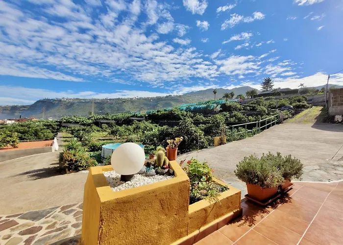 Bollullo Sunset - Ceiba * La Orotava